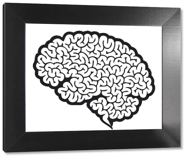 Digital cartoon of human brain showing cerebrum
