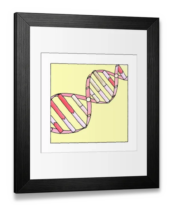 Framed Print : DNA helix model Framed Print : DNA helix model