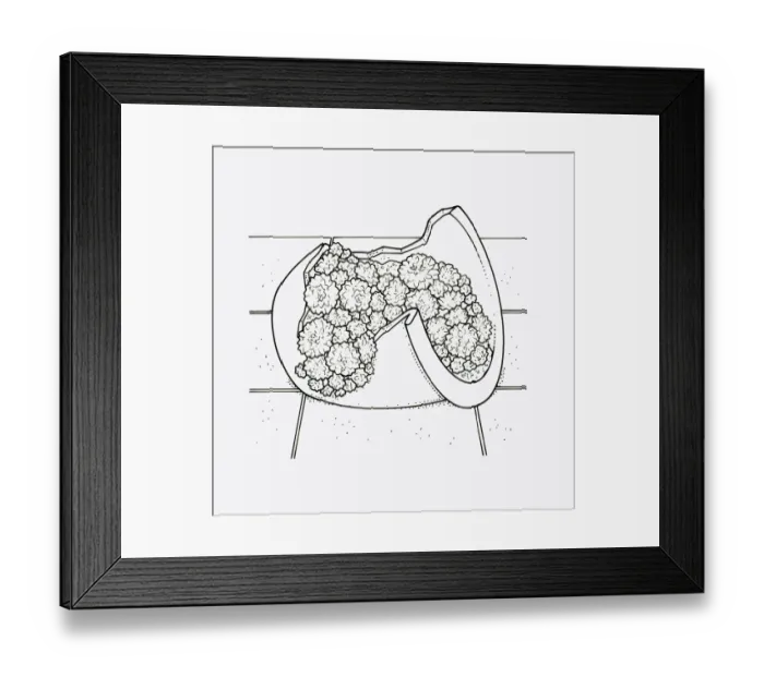 Framed Print : Black and white illustration of using broken pot to plant Sempervivum (Houseleek)