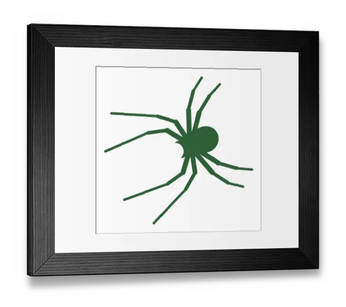 Framed Print : Digital illustration of green spider with long legs Framed Print : Digital illustration of green spider with long legs