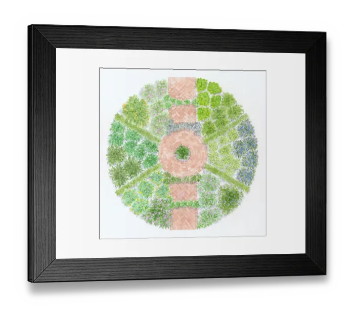 Framed Print : Illustration showing circular bed of culinary herbs Framed Print : Illustration showing circular bed of culinary herbs