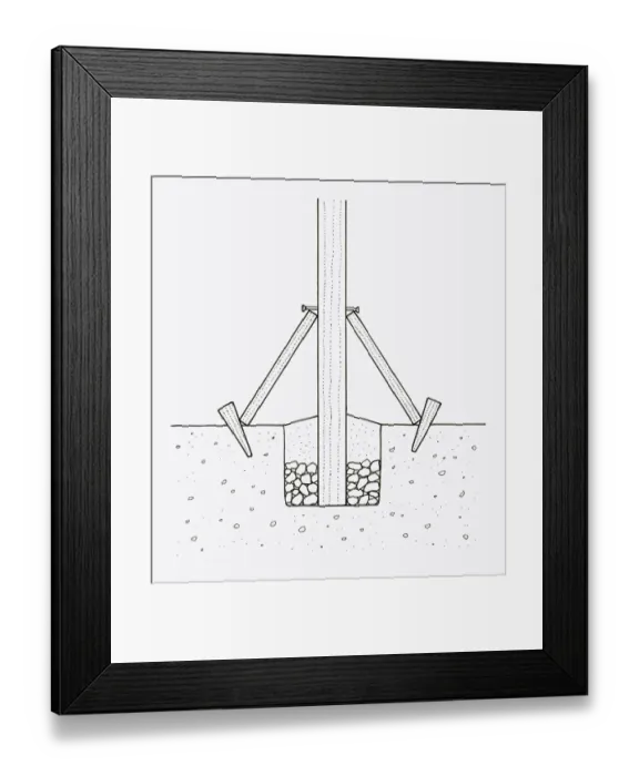 Framed Print : Black and white illustration of repositioned and repaired wooden post using supports, hardcore and c Framed Print : Black and white illustration of repositioned and repaired wooden post using supports, hardcore and c