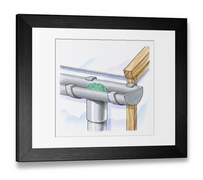 Framed Print : Illustration of moss growing in roof gutter blocking entrance to drainpipe