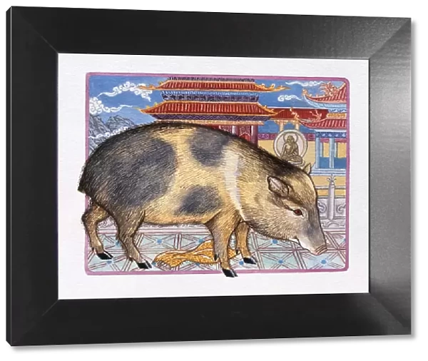 Illustration of Monastery Pig, representing Chinese Year Of The Pig
