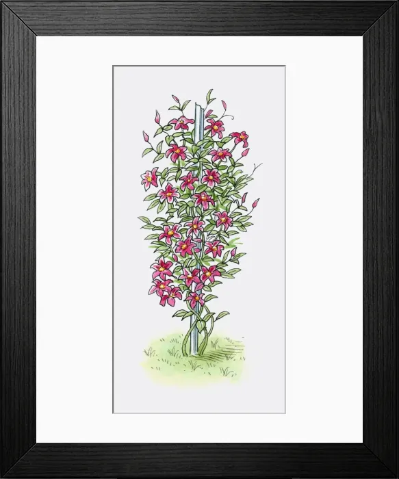 Framed Print : Illustration of old metal post used as vertical support for climbing plant Framed Print : Illustration of old metal post used as vertical support for climbing plant