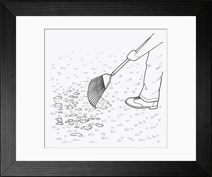 Framed Print : Black and white illustration of using leaf rake to clear moss from lawn Framed Print : Black and white illustration of using leaf rake to clear moss from lawn
