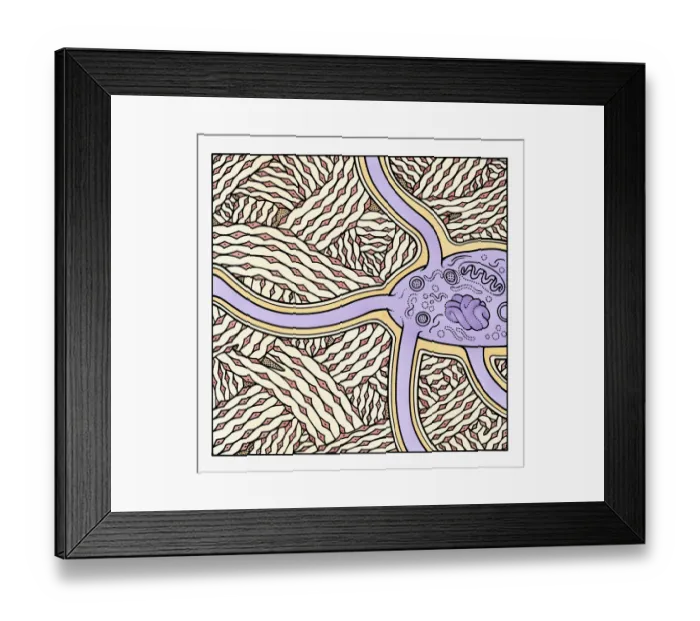 Framed Print : Illustration showing formation of human bone Framed Print : Illustration showing formation of human bone