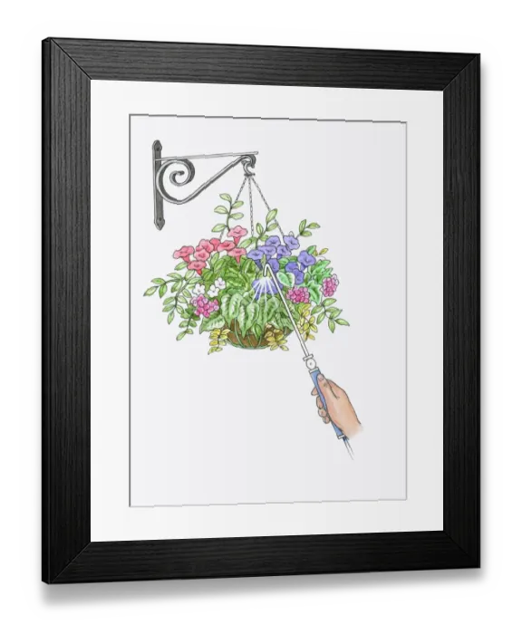 Framed Print : Illustration of watering hanging basket using watering wand