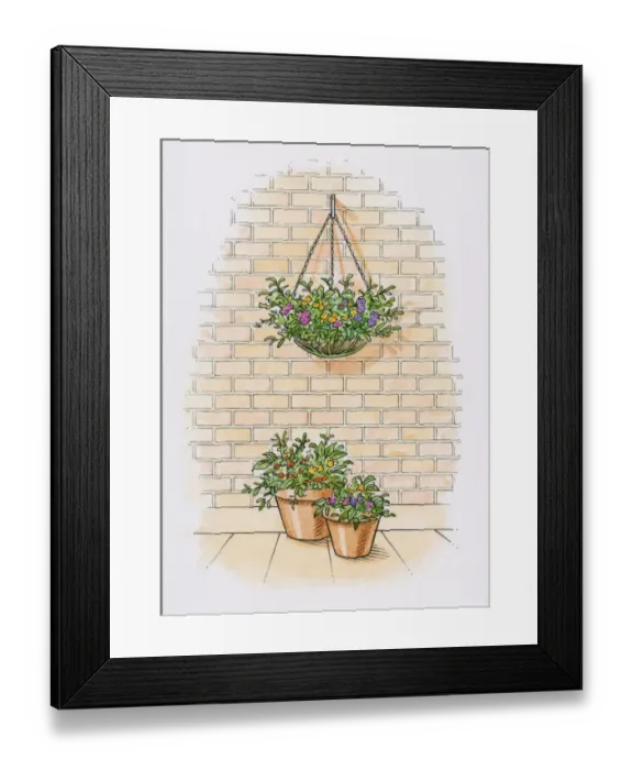 Framed Print : Illustration of hanging basket on brick wall with potted plants on patio below Framed Print : Illustration of hanging basket on brick wall with potted plants on patio below