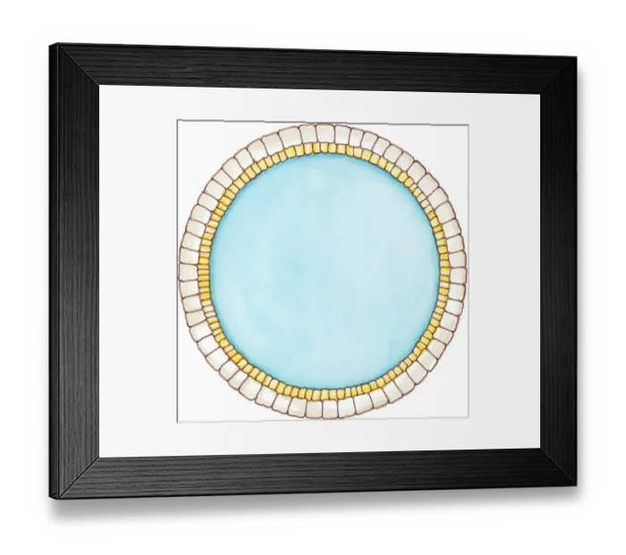 Framed Print : Illustration showing cross section of double layer of dinosaur cell membrane Framed Print : Illustration showing cross section of double layer of dinosaur cell membrane