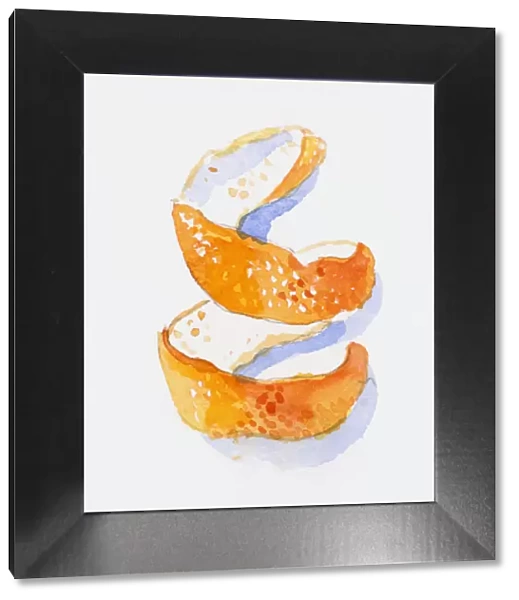 Illustration of spiral of orange peel