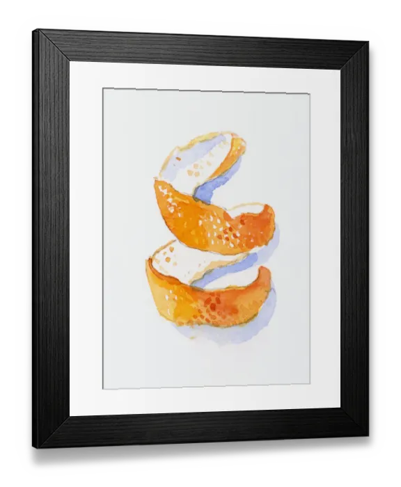 Framed Print : Illustration of spiral of orange peel Framed Print : Illustration of spiral of orange peel