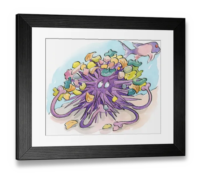 Framed Print : Cartoon of purple Sea Urchin (Echinoidea) using shells and seaweed debris as camouflage it carries on back from predatory fish swimming above