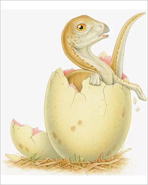Illustration of dinosaur hatching from egg