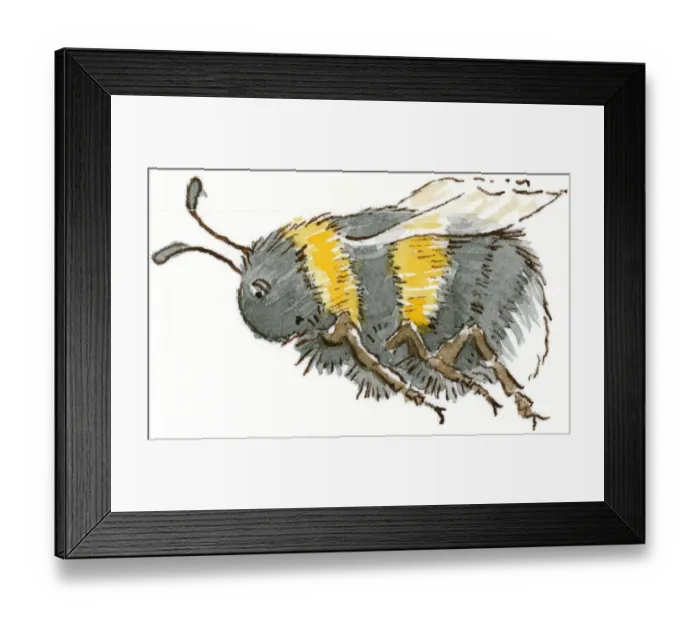 Framed Print : Cartoon of Honeybee (Apis), flying