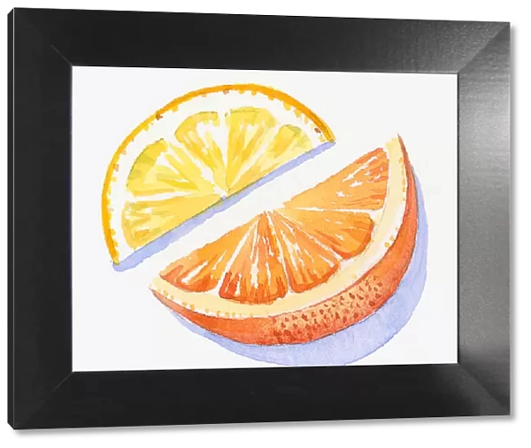 Illustration of slices of orange and lemon