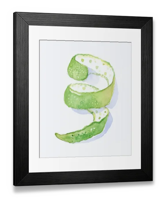 Framed Print : Illustration of Bergamot Orange (Citrus aurantium ssp. bergamia), spiral of green peel Framed Print : Illustration of Bergamot Orange (Citrus aurantium ssp. bergamia), spiral of green peel