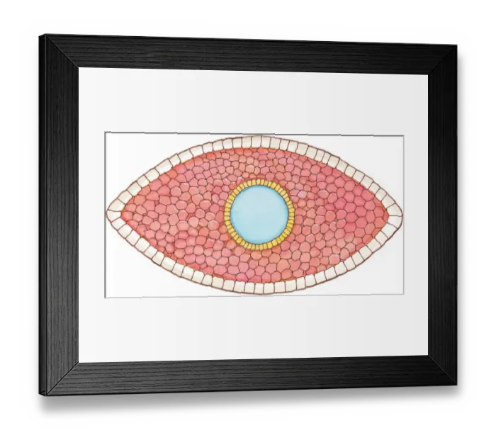 Framed Print : Illustration of cross section showing how early stage embryo of Flatworm (Phylum Platyhelminthes) differentiates into three layers of cell tissue, ectoderm, mesoderm and endoderm Framed Print : Illustration of cross section showing how early stage embryo of Flatworm (Phylum Platyhelminthes) differentiates into three layers of cell tissue, ectoderm, mesoderm and endoderm
