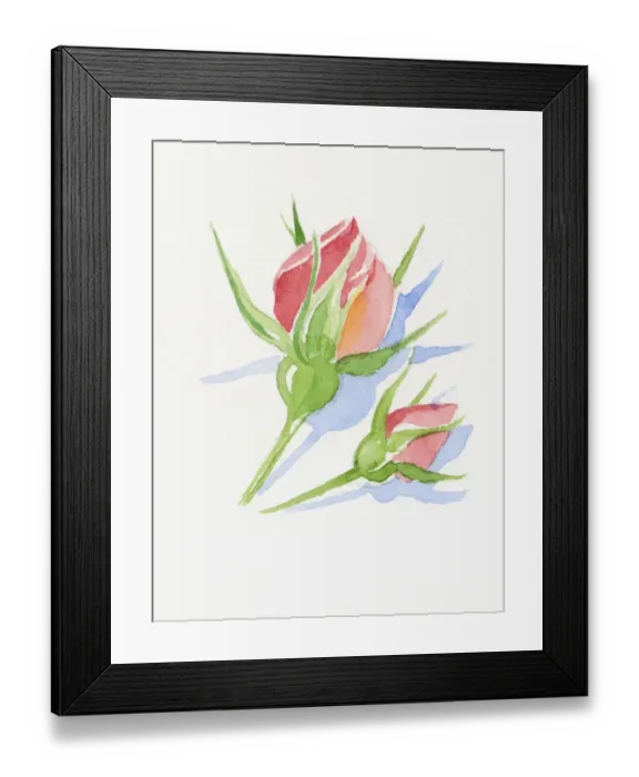 Framed Print : Illustration of two pink rose buds and green sepals short stems Framed Print : Illustration of two pink rose buds and green sepals short stems