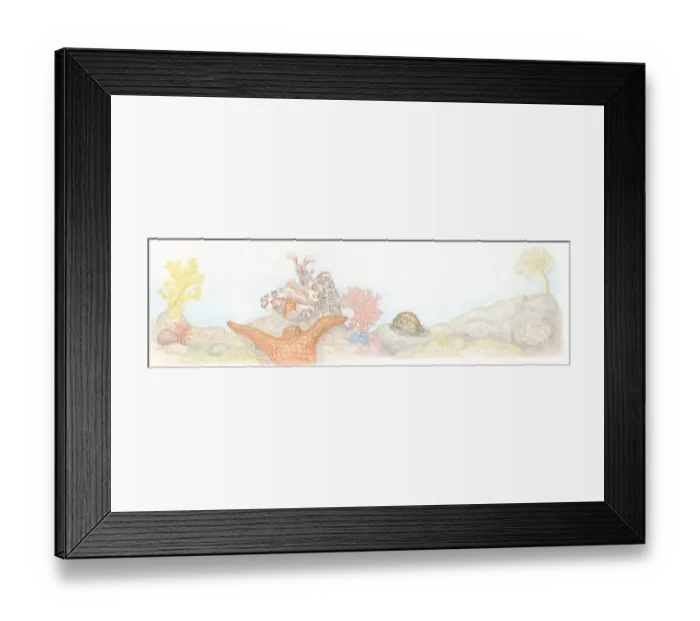 Framed Print : Illustration of Painted Prawn (Alope spinifrons) carrying piece of starfish, Cowrie (Cypraea) snail on harp coral Framed Print : Illustration of Painted Prawn (Alope spinifrons) carrying piece of starfish, Cowrie (Cypraea) snail on harp coral