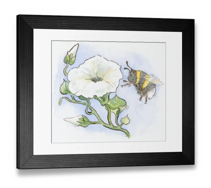 Framed Print : Cartoon of Honeybee (Apis), with smiley face approaching large white flower Framed Print : Cartoon of Honeybee (Apis), with smiley face approaching large white flower