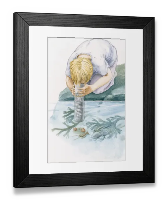 Framed Print : Illustration of of boy kneeling on rock looking through underwater viewer at shrimp and snails on seabed Framed Print : Illustration of of boy kneeling on rock looking through underwater viewer at shrimp and snails on seabed