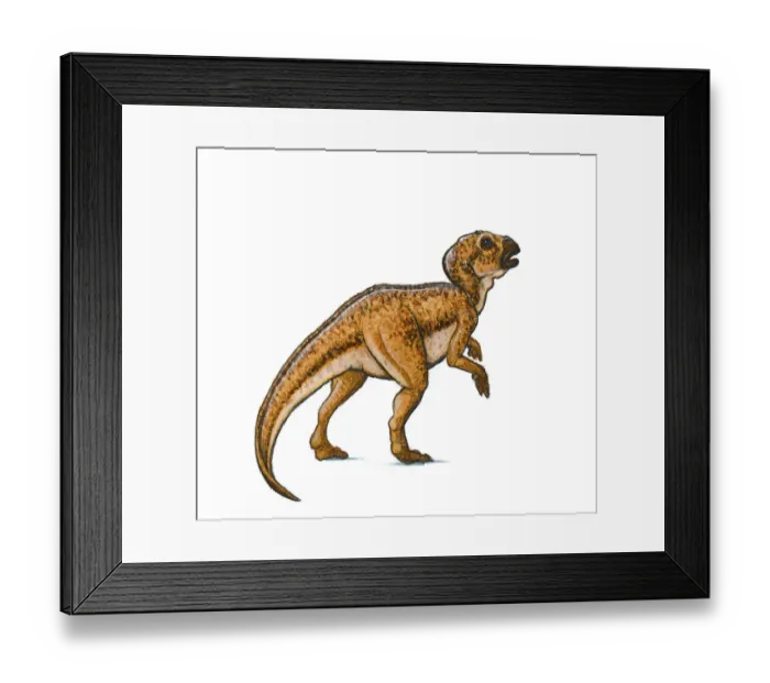 Framed Print : Illustration of Hypsilophodon, a beaked ornithischian dinosaur