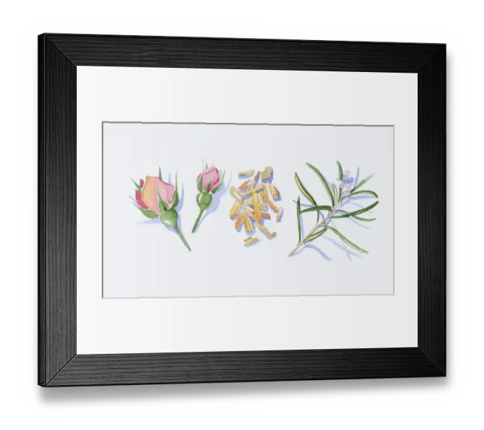 Framed Print : Illustration of pink rose buds, sandalwood wood chips, and rosemary flowers and leaves on stem Framed Print : Illustration of pink rose buds, sandalwood wood chips, and rosemary flowers and leaves on stem