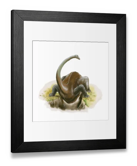 Framed Print : Illustration of Diplodocus dinosaur standing above trench with legs apart and belly hanging below Framed Print : Illustration of Diplodocus dinosaur standing above trench with legs apart and belly hanging below