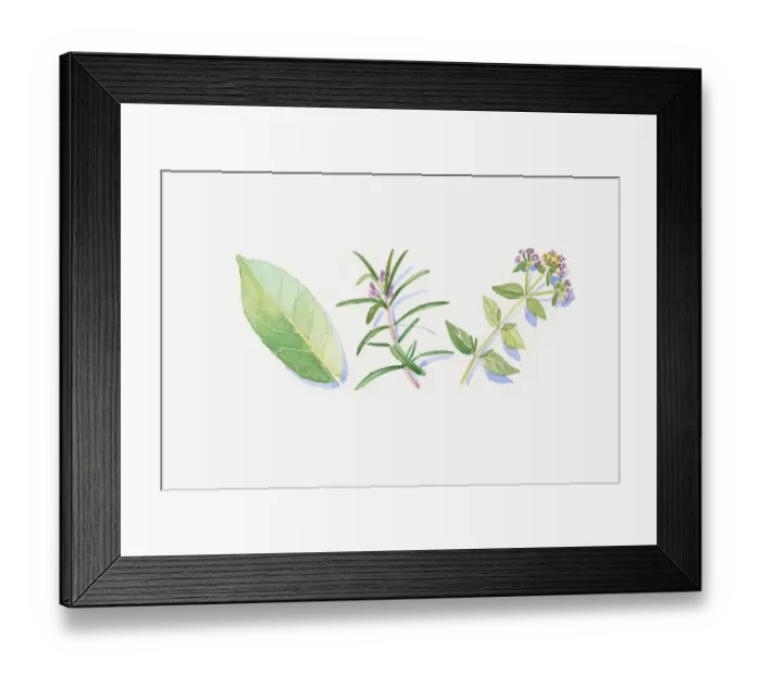 Framed Print : Illustration of green eucalyptus leaf, rosemary and marjoram stem, flowers and leaves Framed Print : Illustration of green eucalyptus leaf, rosemary and marjoram stem, flowers and leaves