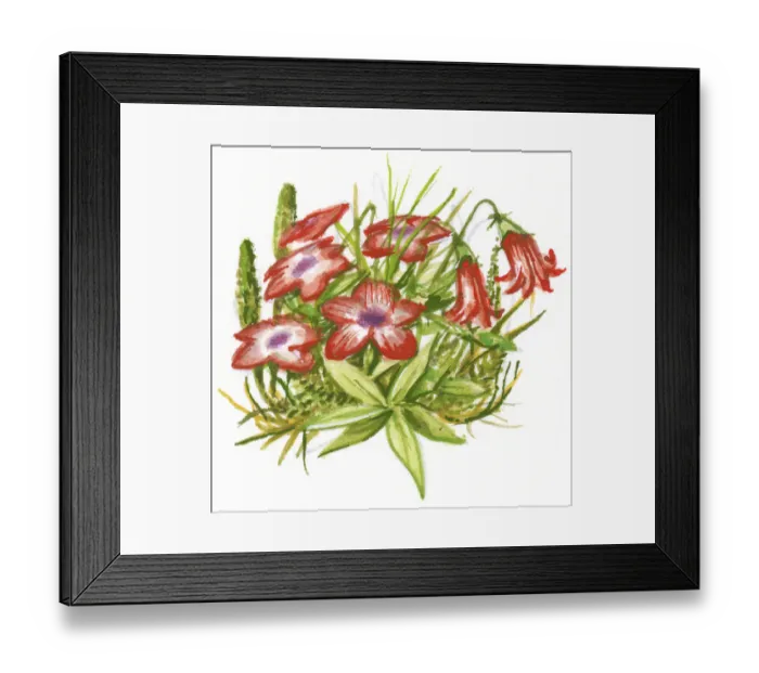 Framed Print : Illustration of red flowers with green leaves able to withstand cold tundra and mountain weather Framed Print : Illustration of red flowers with green leaves able to withstand cold tundra and mountain weather