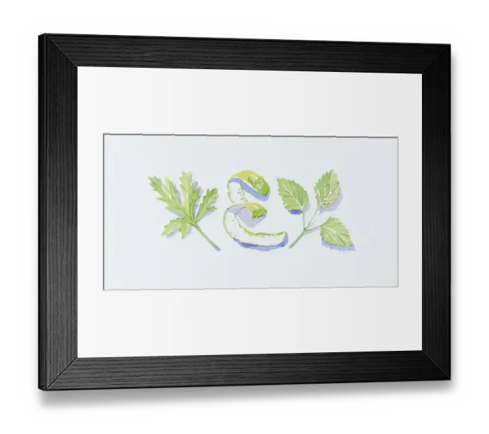 Framed Print : Illustration of green geranium and lemon balm leaves, and bergamot orange peel Framed Print : Illustration of green geranium and lemon balm leaves, and bergamot orange peel
