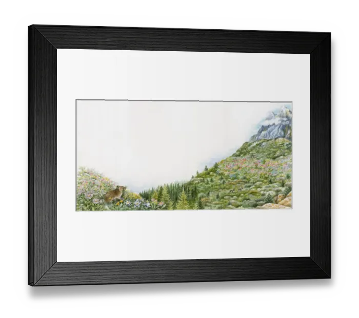 Framed Print : Illustration of tough and hardy plants growing at high altitude with snow-covered mountain in background Framed Print : Illustration of tough and hardy plants growing at high altitude with snow-covered mountain in background