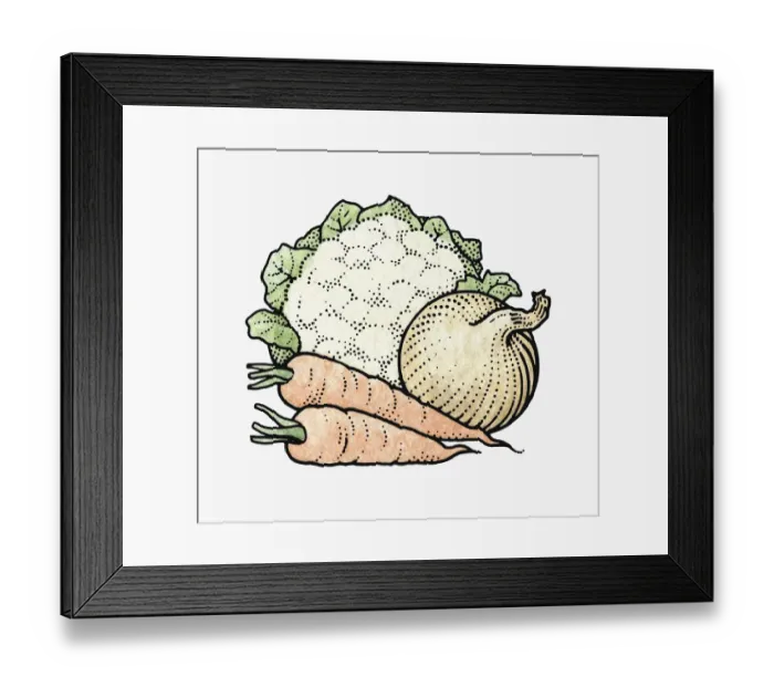 Framed Print : Illustration of fresh cauliflower, white onion and carrots Framed Print : Illustration of fresh cauliflower, white onion and carrots