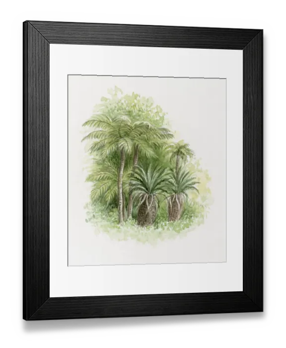 Framed Print : Illustration of lush palm trees Framed Print : Illustration of lush palm trees