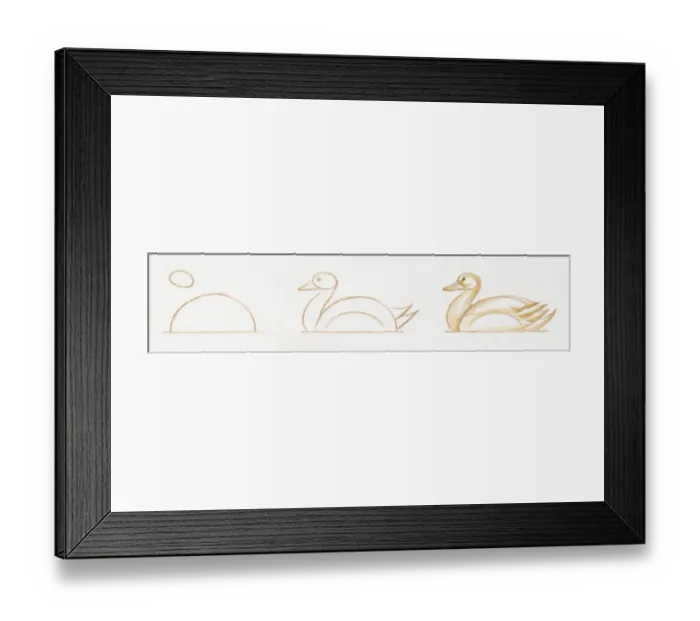 Framed Print : Pencil drawing of three stages of illustrating swimming duck starting with basic body outline and ending with details including feather and common features Framed Print : Pencil drawing of three stages of illustrating swimming duck starting with basic body outline and ending with details including feather and common features