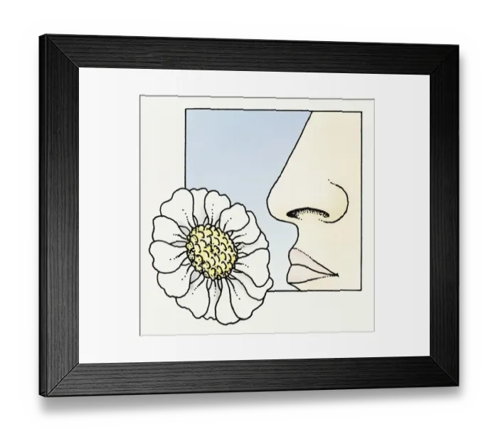 Framed Print : Illustration of human nose smelling flower Framed Print : Illustration of human nose smelling flower