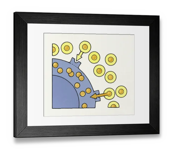 Framed Print : Illustration showing excess Cholesterol in bloodstream over-saturating body cells Framed Print : Illustration showing excess Cholesterol in bloodstream over-saturating body cells