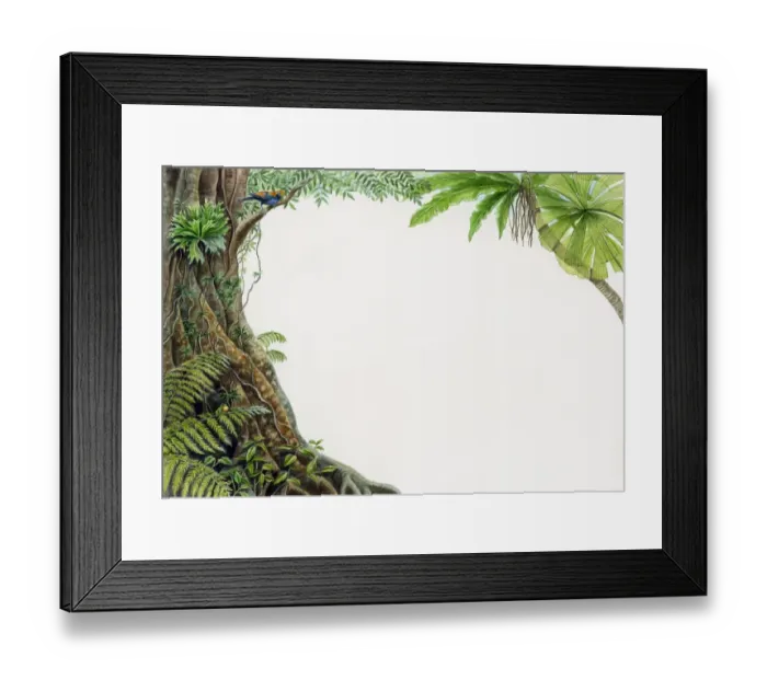 Framed Print : Illustration of tropical rainforest with bird perched on branch Framed Print : Illustration of tropical rainforest with bird perched on branch