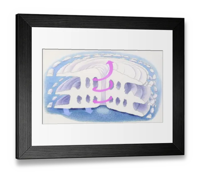 Framed Print : Illustration of hurricane, typhoon, or cyclone