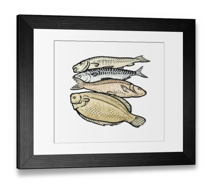 Framed Print : Four raw fish including flounder and trout Framed Print : Four raw fish including flounder and trout