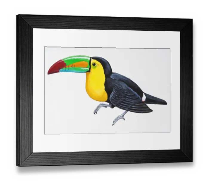 Framed Print : Digital illustration of Keel-Billed Toucan (Ramphastos sulfuratus), colourful South American bird Framed Print : Digital illustration of Keel-Billed Toucan (Ramphastos sulfuratus), colourful South American bird