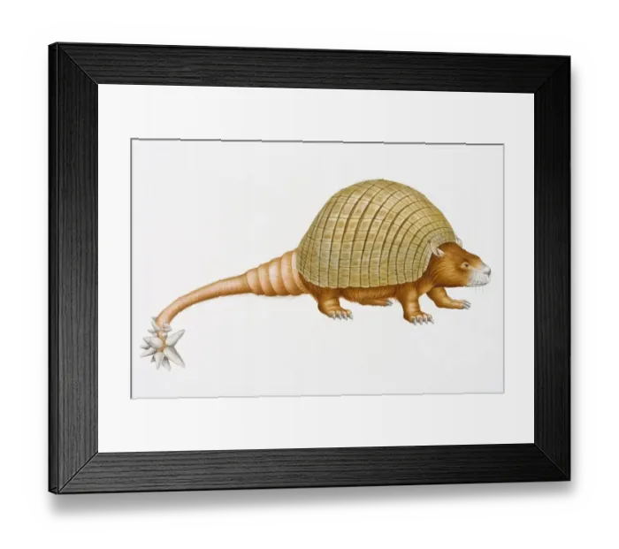 Framed Print : Digital illustration of Doedicurus clavicaudatus, a prehistoric glyptodont with domed carapace and spikes on end of long tail Framed Print : Digital illustration of Doedicurus clavicaudatus, a prehistoric glyptodont with domed carapace and spikes on end of long tail