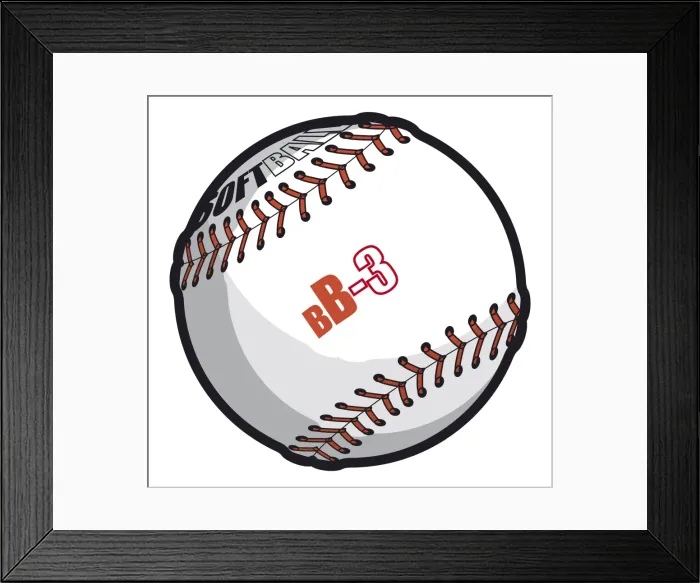 Framed Print : Baseball Framed Print : Baseball