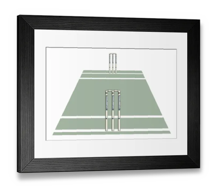 Framed Print : Section of cricket field, wickets at either end Framed Print : Section of cricket field, wickets at either end