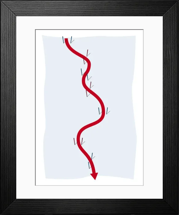Framed Print : Slalom course Framed Print : Slalom course
