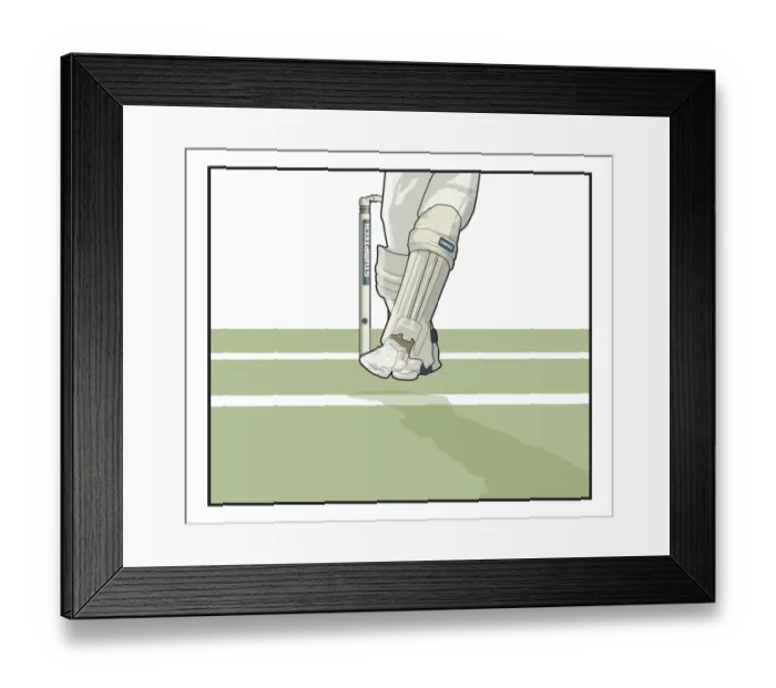 Framed Print : Leg before wicket Framed Print : Leg before wicket