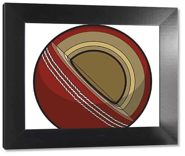 Cricket ball, cross-section