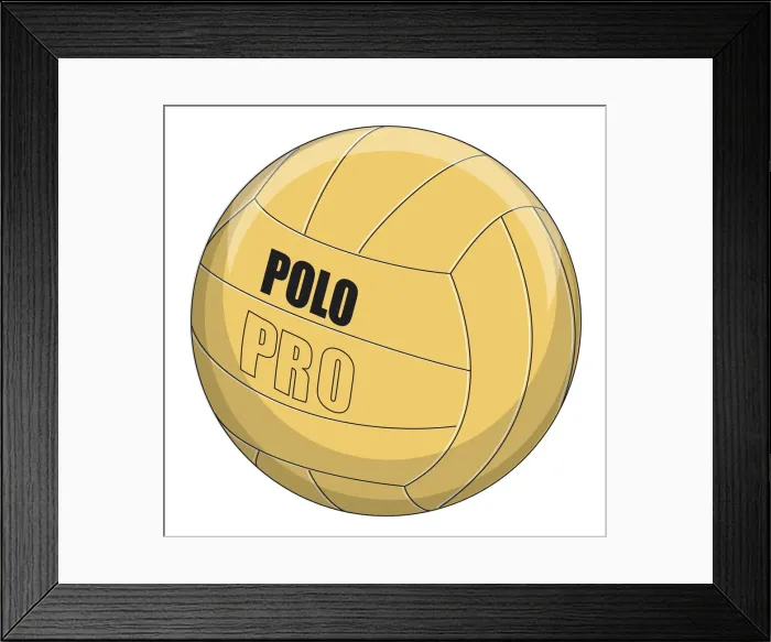 Framed Print : Water polo ball Framed Print : Water polo ball