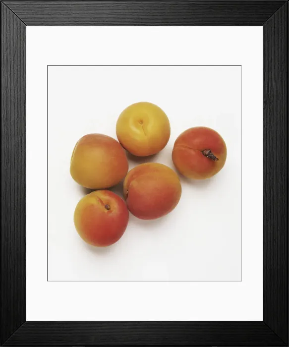 Framed Print : Five apricots Framed Print : Five apricots